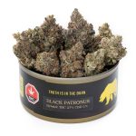 Black Patronous - Image 2