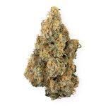 Romulan 96'