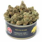 Romulan 96' - Image 2