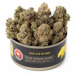 Blue Power Kush - Image 2