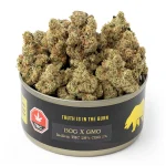 BOG x GMO - Image 2