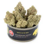 Strawberry Mentz - Image 2